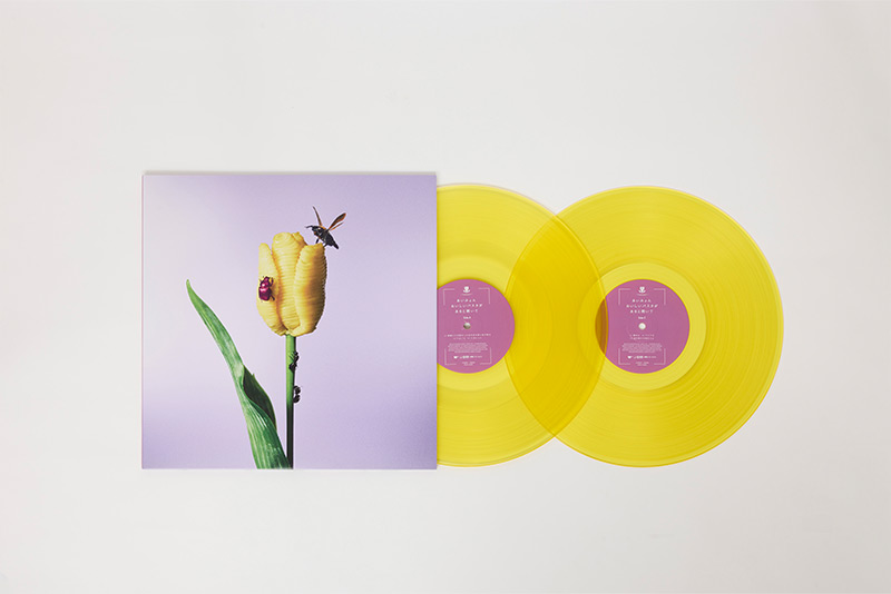 AIMYON Vinyl Collection