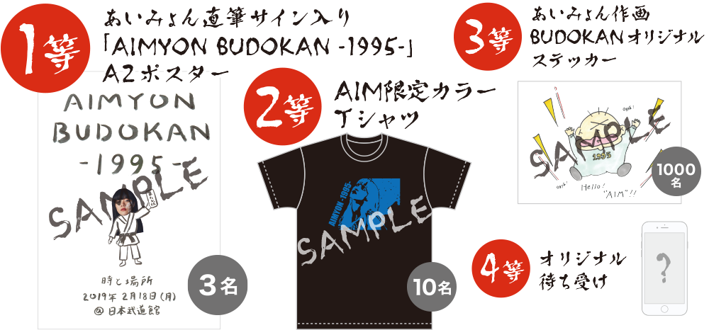 あいみょんBUDOKAN1995 初回限定盤DVD2枚組